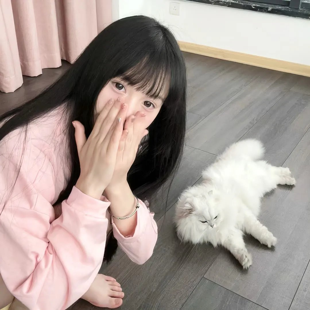 重生退婚妻第二季